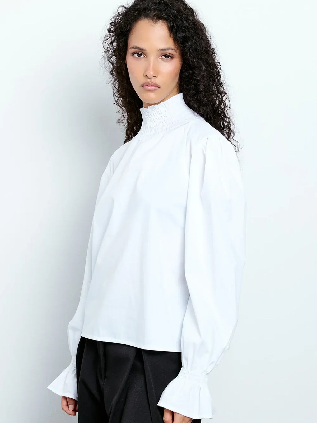 Smocked Collar Blouse